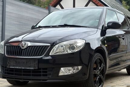 Skoda Fabia 170.800 km 4.250 € Ziegenrück 07924