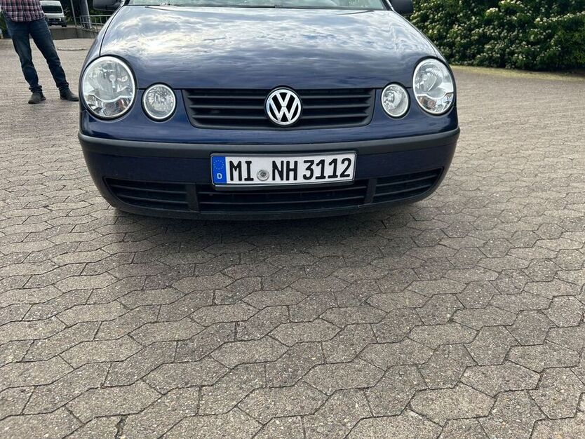 Polo