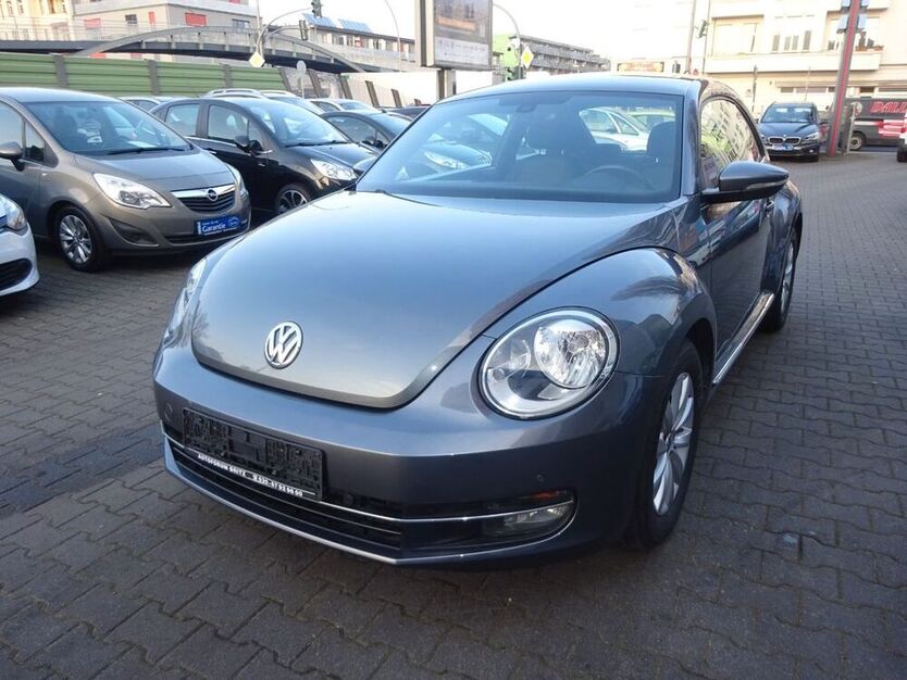 Beetle