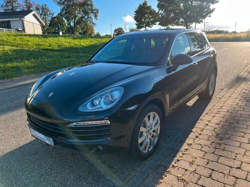 Cayenne