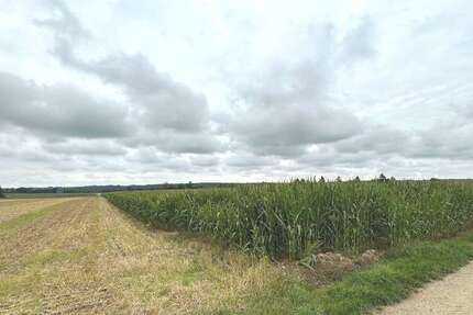 Grundstück Kettershausen-Zaiertshofen Zaiertshofen - 289.900&euro; | Angebot:22193935