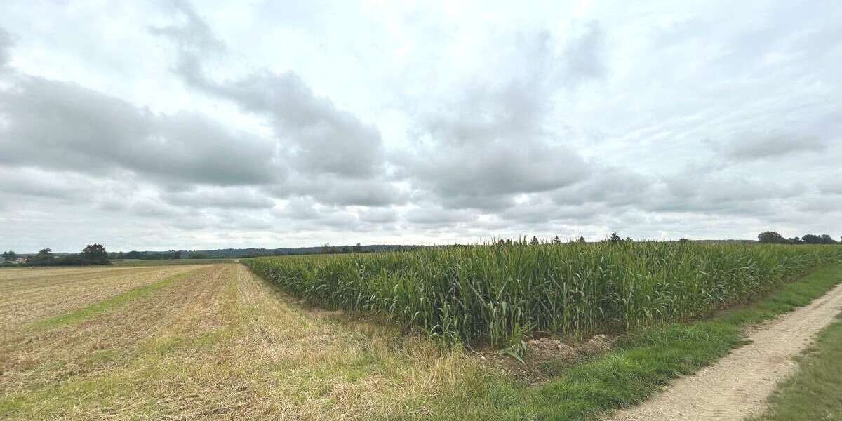 Grundstück Kettershausen-Zaiertshofen Zaiertshofen - 289.900&euro; | Angebot:22193935