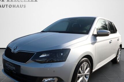 Skoda Fabia 109.959 km 12.490 &euro; Wiehl 51674