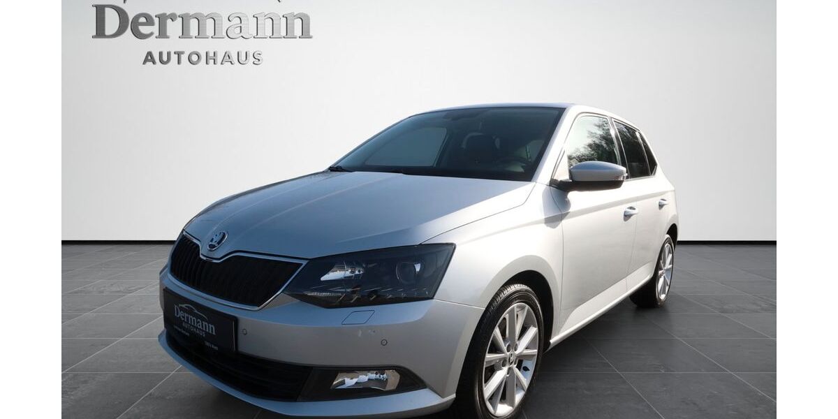 Skoda Fabia 109.959 km 12.490 &euro; Wiehl 51674
