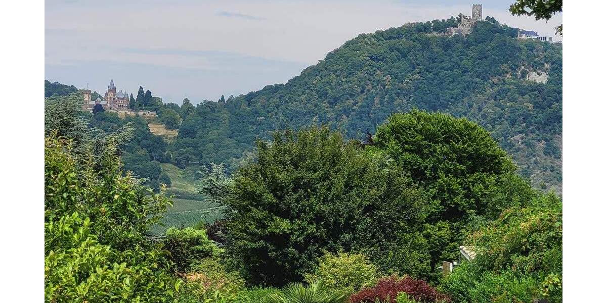Aussichtsreich am Rodderberghang 1.698 m² Grundstück Bonn-Mehlem zimmer