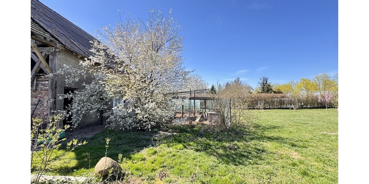 HORN IMMOBILIEN ++ Einfamilienhaus mit großem Grundstück in Ramin an der polnischen Grenze. - Einfamilienhaus Ramin | Angebot:25179513