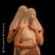 Victims & Images: Vol 2 | Mash Dance Berlin 2026 28.06.2026 Dock 11
