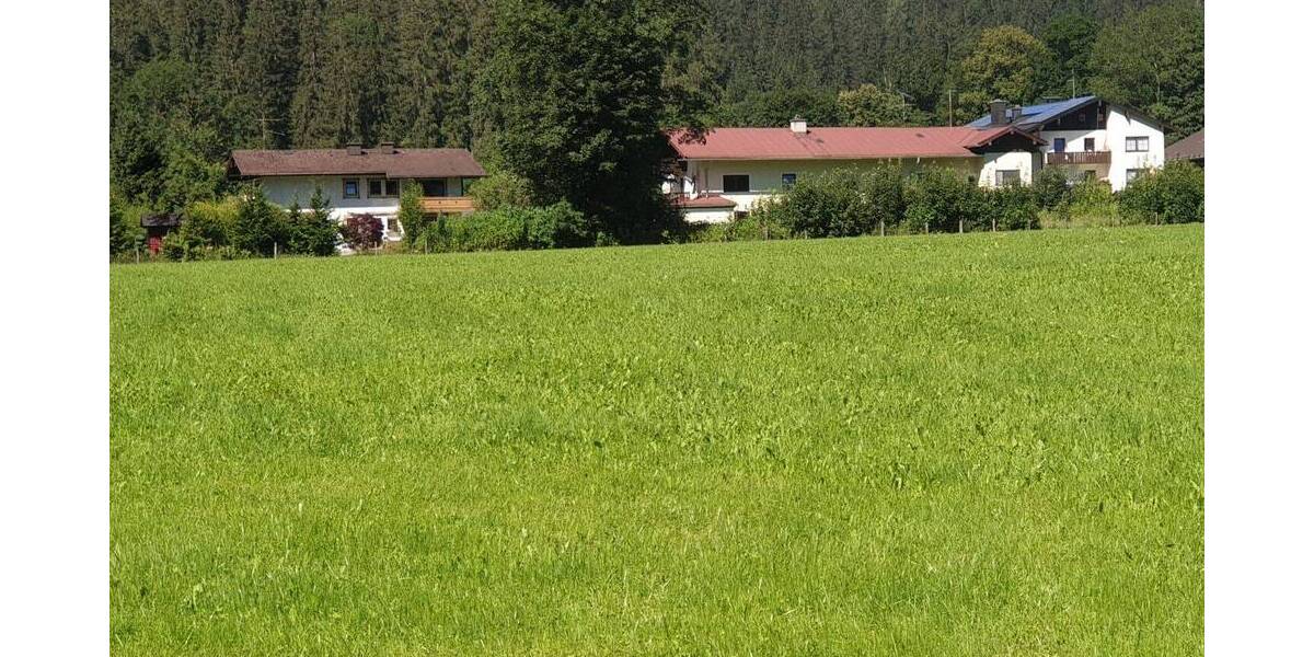Grundstück Schönau am Königssee Oberschönau - 221.000&euro; | Angebot:25815666