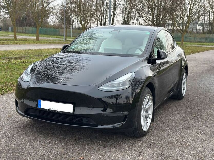 Model Y