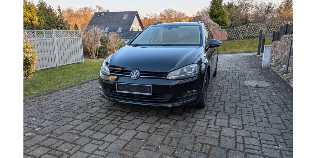 VW Golf 175.000 km 8.400 &euro; Leisnig 04703