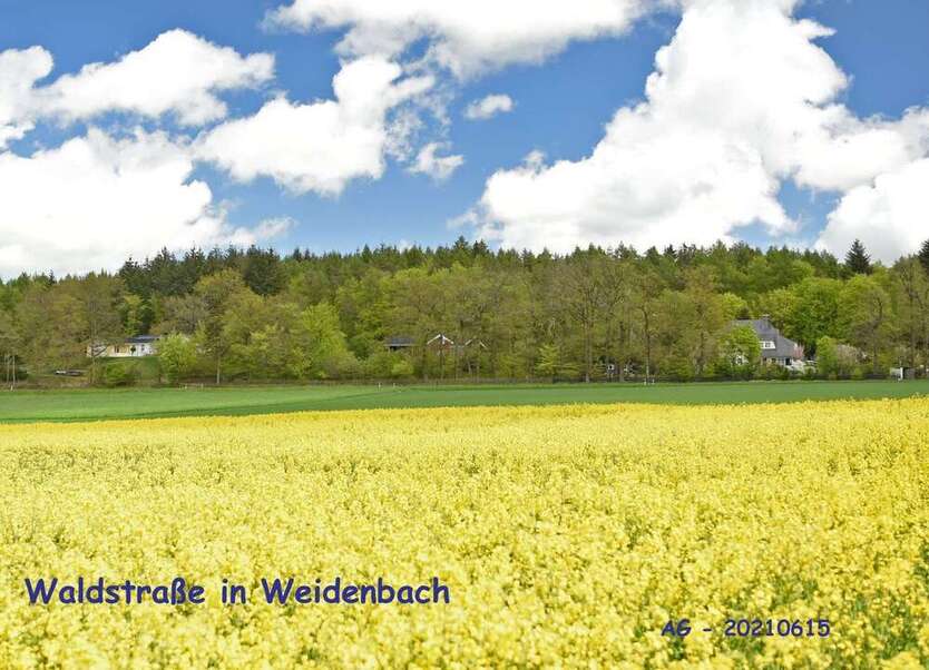 Grundstück zu verkaufen in Weidenbach 390.000 € 3000 m²