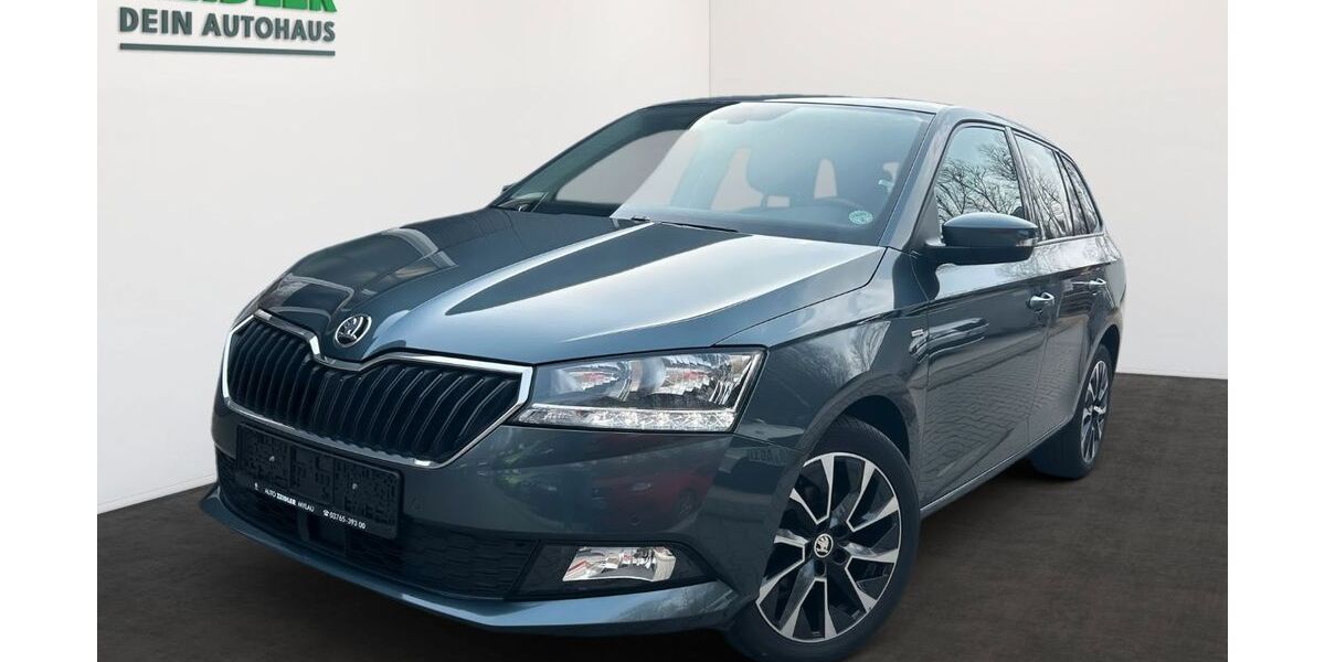 Skoda Fabia 26.590 km 14.450 &euro; Mylau 08499