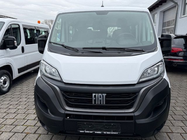 Ducato