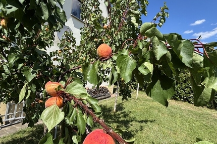 Naturerlebnis vor den Toren der Stadt - Ihr neues Familienzuhause in Klipphausen-Bockwen - Haus Klipphausen | Angebot:27133205