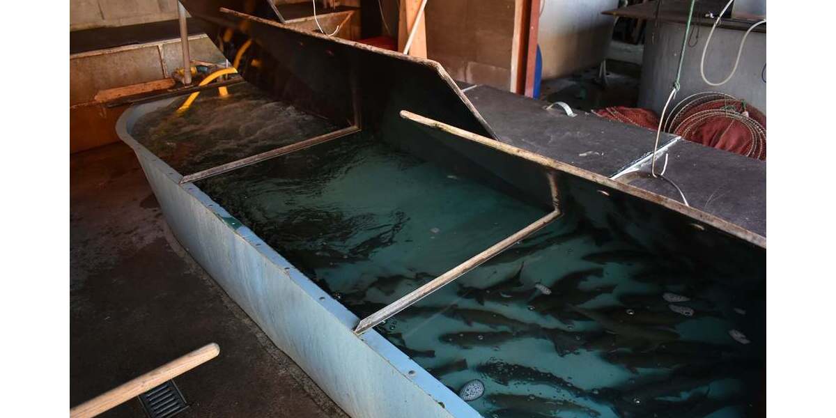 Gewerbeobjekt Seedorf - 1 Zimmer, 1.690.000&euro; | Angebot:25748687