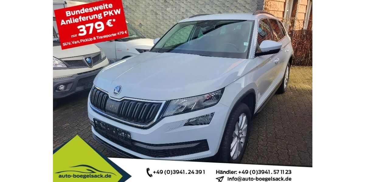 Skoda Kodiaq 163.500 km 18.745 &euro; Halberstadt 38820