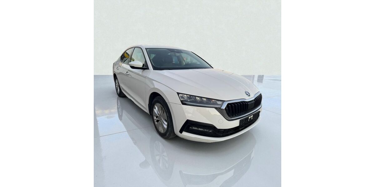 Skoda Octavia 100.000 km 17.255 &euro; Grosswallstadt 63868