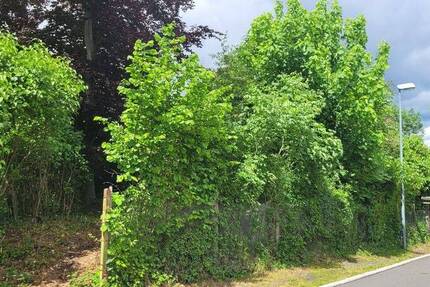 Grundstück Saalfeld/Saale Saalfeld - 400.000&euro; | Angebot:25775162