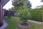 Bungalow Großheide - 2 Zimmer, 70 m&sup2;, 1.100&euro; | Angebot:26375587