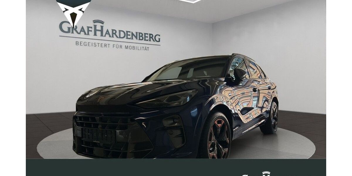 Cupra Terramar 1.900 km 48.790 &euro; Karlsruhe 76131