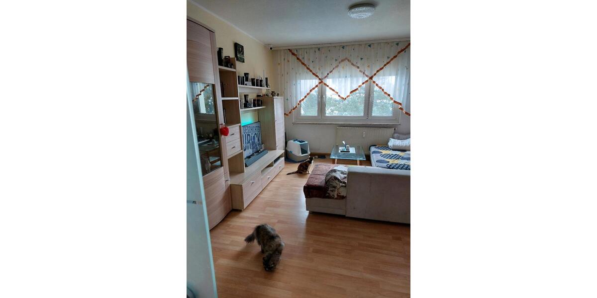 Etagenwohnung Falkenstein/Vogtland Vogtland - 2 Zimmer, 47 m&sup2;, 38.300&euro; | Angebot:24484454