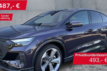 Audi Q4 e-tron 25.900 km 40.890 &euro; Hof 95030