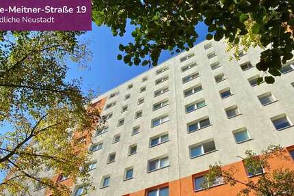 Wohnung Halle Halle-Neustadt - 3 Zimmer, 58 m&sup2;, 435&euro; | Angebot:26434886