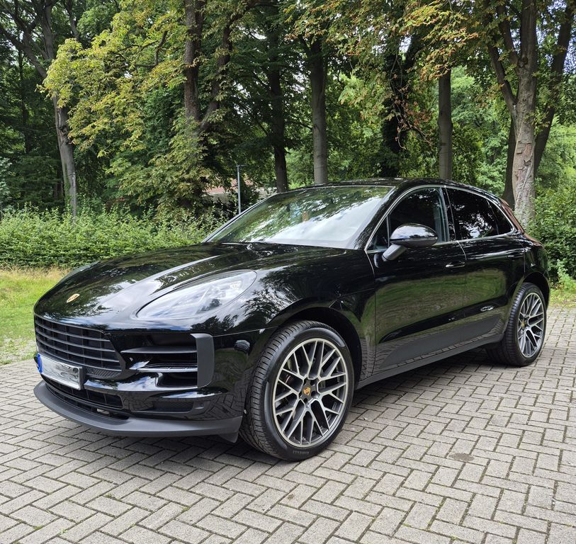 Macan