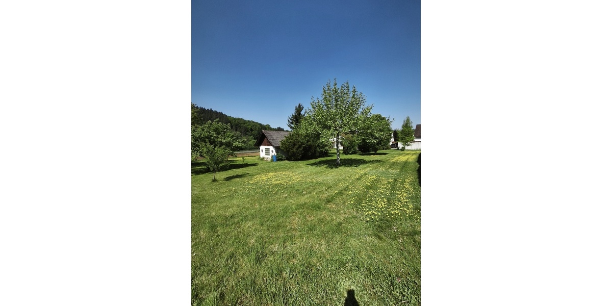 Großes, sonniges Traumgrundstück m. Einfamilienhaus und viel Platz zur freien Entfaltung! - Einfamilienhaus Möckmühl | Angebot:26441399