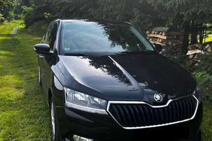 Skoda Fabia 135.000 km 9.500 &euro; Steinigtwolmsdorf 01905