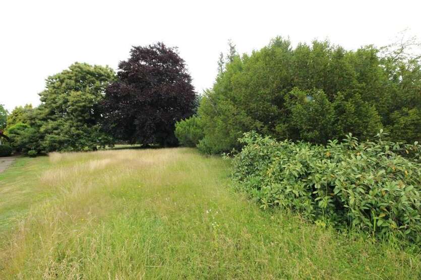Grundstück zu verkaufen in Limbach 75.000 € 1181 m²
