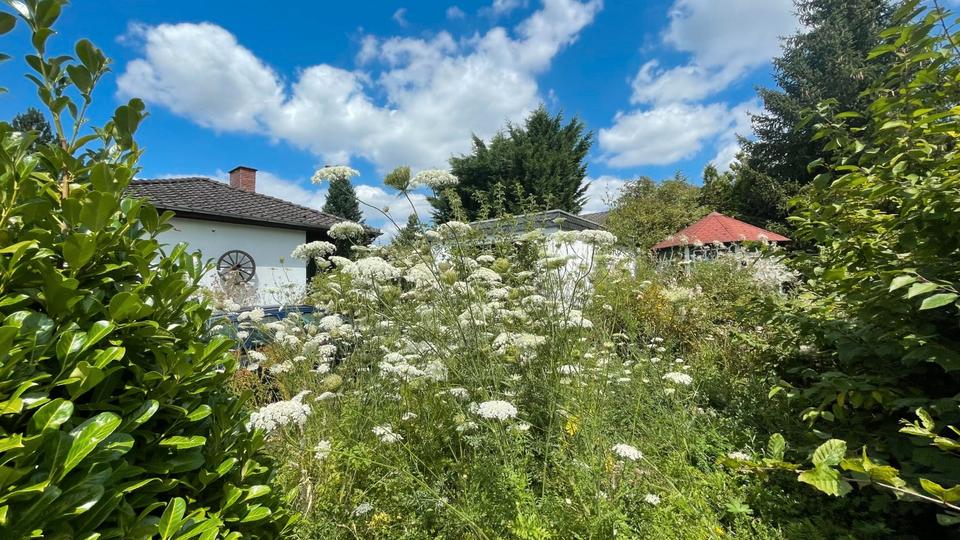 Bungalow Simmern/Hunsrück Hunsrück - 6 Zimmer, 150 m&sup2;, 385.000&euro; | Angebot:26731093
