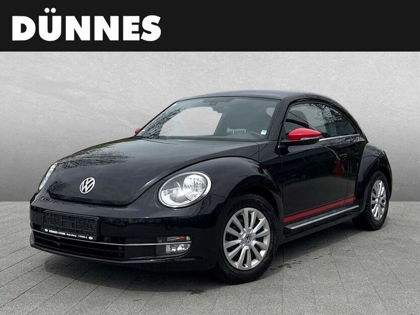 Beetle