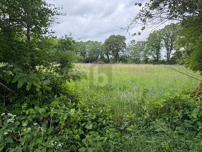 IDEAL FÜR FREIZEIT IN DER NATUR - Grundstück Lutzhorn | Angebot:24791610