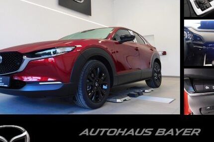Mazda CX-30 2.000 km 28.800 € Gößweinstein 91327