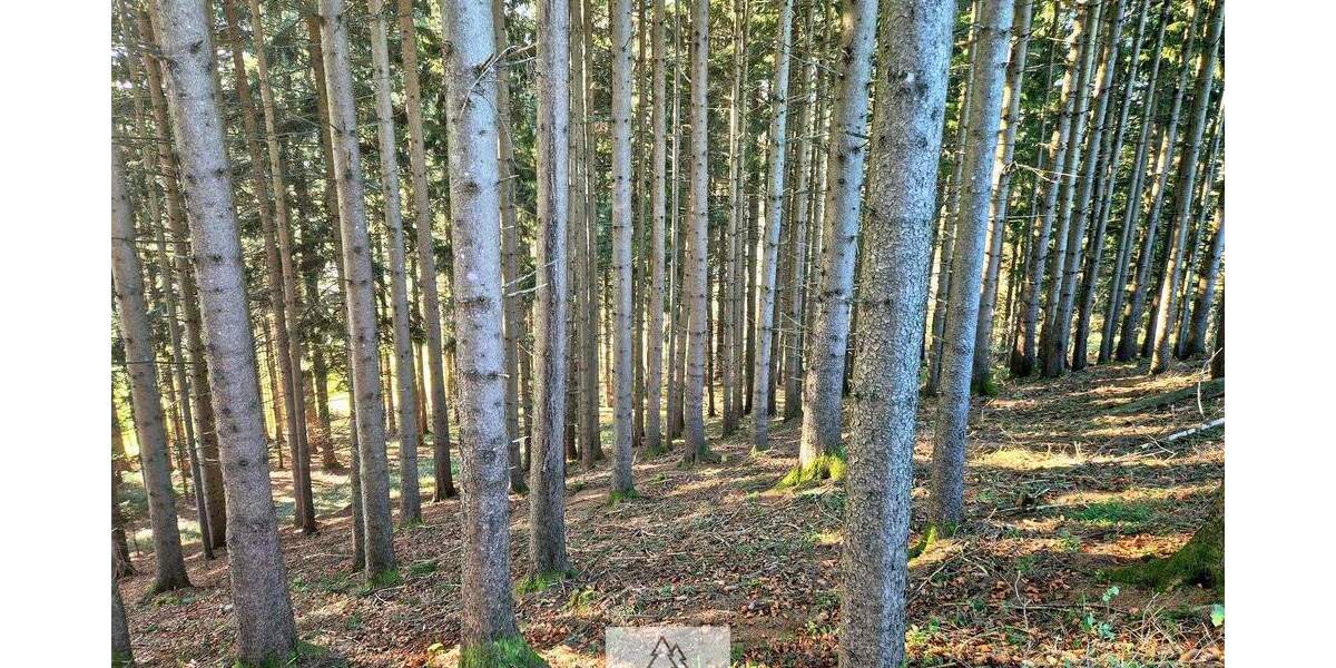 Grundstück Eggenthal Völken - 84.900&euro; | Angebot:25689866