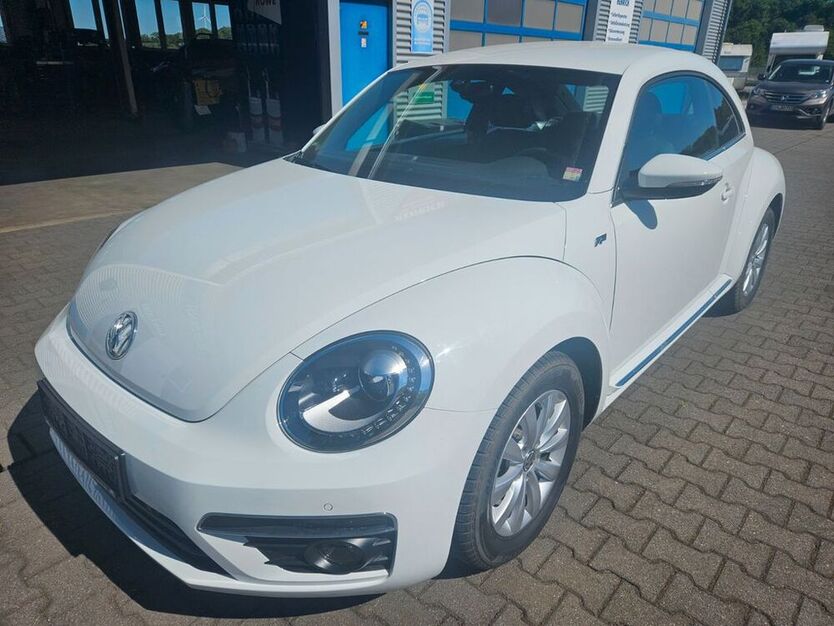 Beetle