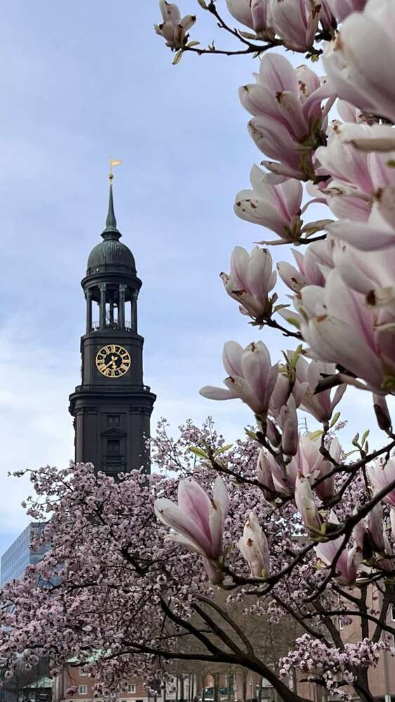 Wohnung zum Kaufen in Hamburg 995.000 € 171.23 m²