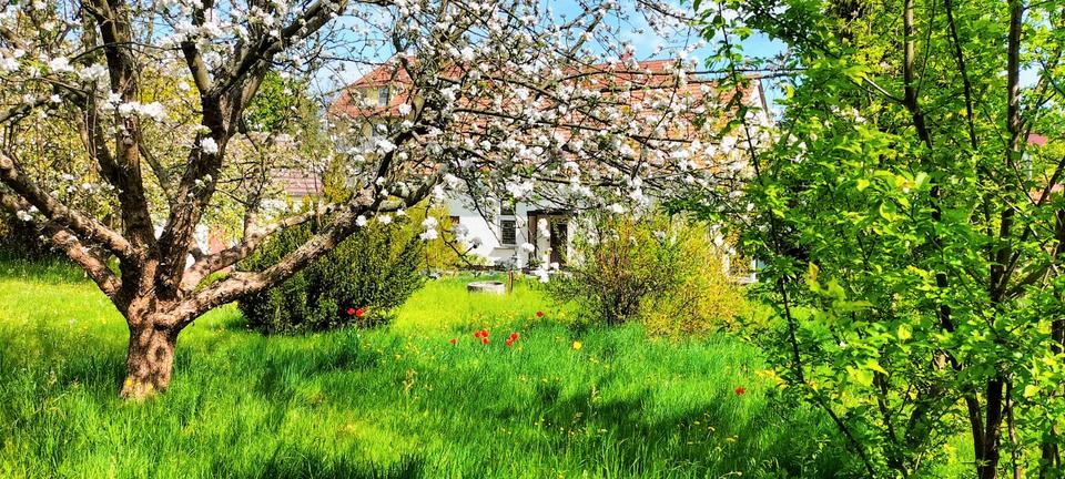 Mehrfamilienhaus, Wohnhaus Oderwitz - 8 Zimmer, 208 m&sup2;, 240.000&euro; | Angebot:26612720