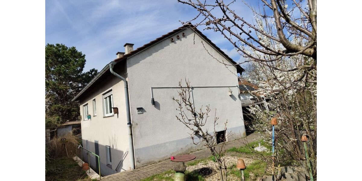 Provisionsfrei* Charmantes, ruhiges EFH mit Entwicklungspotenzial-verwirklichen Sie Ihren Wohntraum! - Einfamilienhaus Bobenheim-Roxheim Roxheim | Angebot:26607044