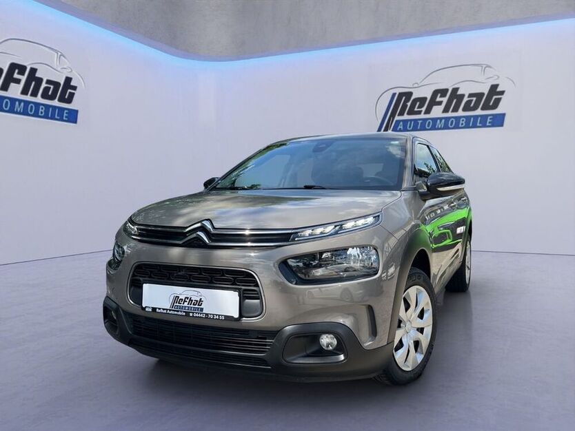 C4 Cactus