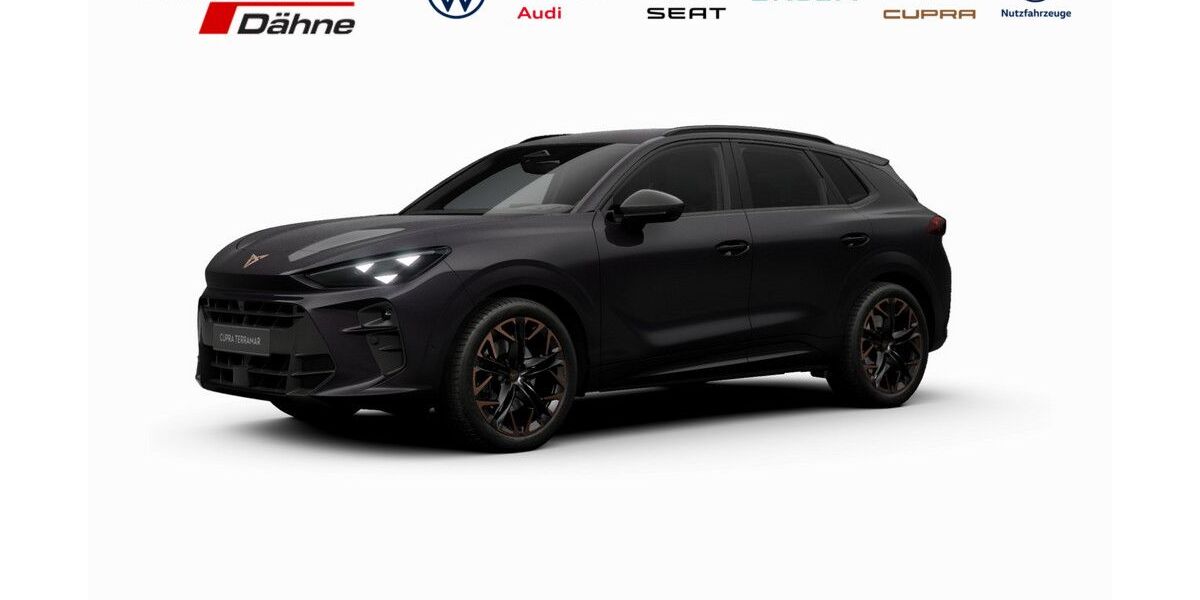 Cupra Terramar 17.416 km 43.490 &euro; Brandenburg 14772