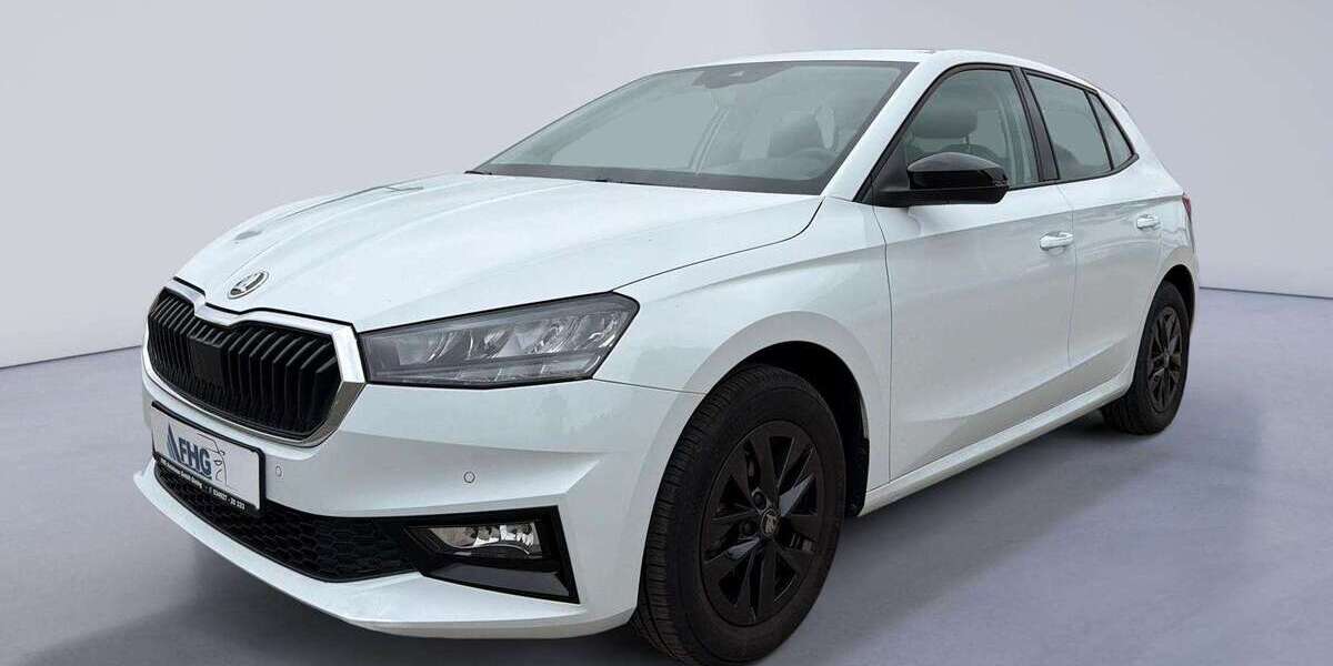 Skoda Fabia 24.626 km 17.900 &euro; Kemberg OT Globig 06901