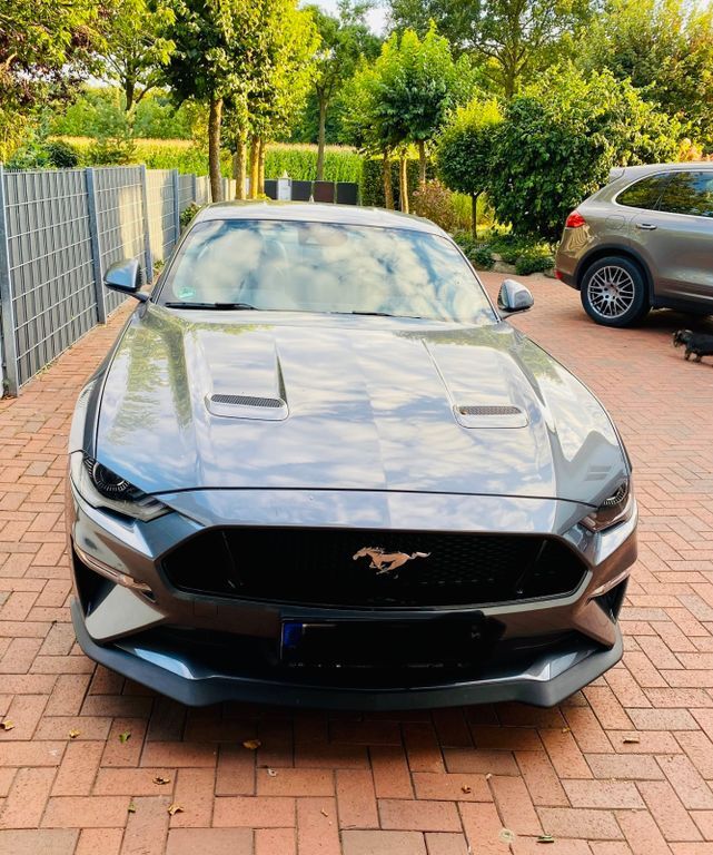 Mustang