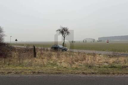 Grundstück Meuro Meuro - 9.999&euro; | Angebot:25549488