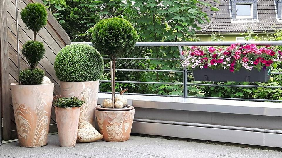 Erdgeschoßwohnung Wuppertal Gemarkung Ronsdorf - 3 Zimmer, 88 m&sup2;, 310.000&euro; | Angebot:24602585