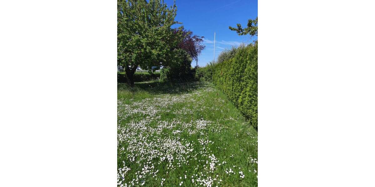 Grundstück Geldersheim - 531.000&euro; | Angebot:23960814