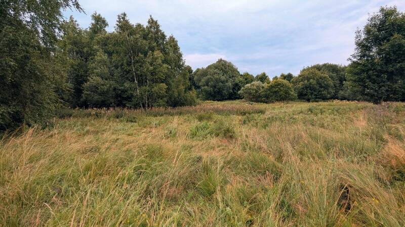 Grundstück Bahratal Friedrichswalde - 160.000&euro; | Angebot:21564572