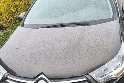 Citroen C4 175.455 km 2.000 &euro; Wewelsfleth 25599