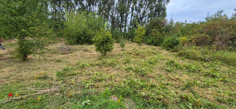 Bauträgerfreies Eckgrundstück in Schönefeld - Grundstück Schönefeld | Angebot:24626793